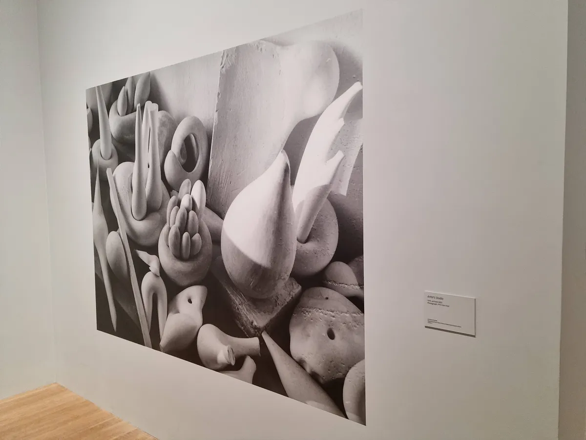 Maria Bartuzova Gallery Image 12